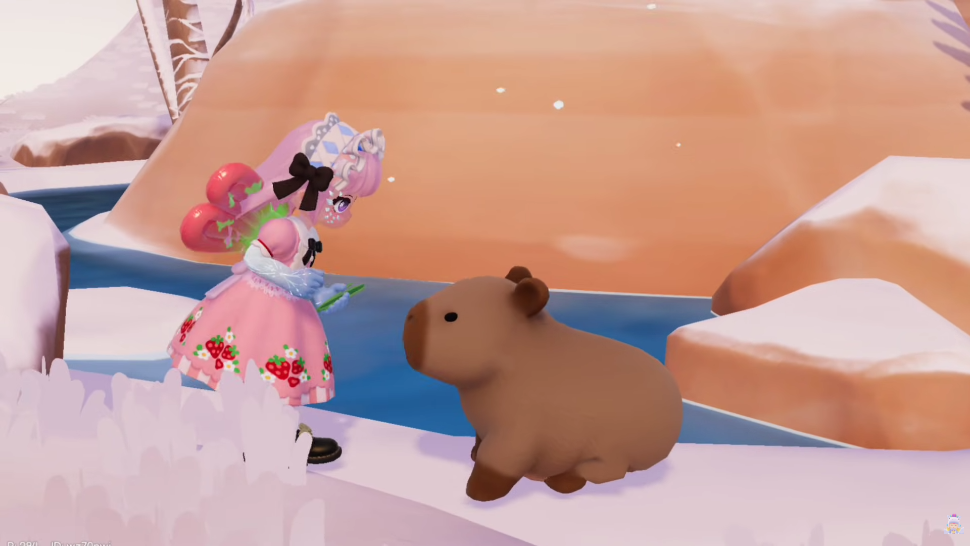 Capybara eating in its preferred weather